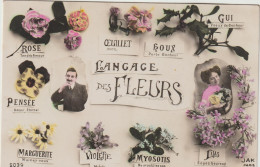 Langage Des  Fleurs  , Pensée, Violette, Houx, Gui, Lilas, Rose.... - Altri & Non Classificati