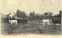 (410) Roucourt  Péruwelz  Vue Générale - Autres & Non Classés