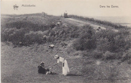 Middelkerke - Dans Les Dunes - N° 1178 De Graeve - Middelkerke