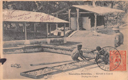 NOUVELLES-HEBRIDES - Séchant Le Coprah - Drying The Copra - Cachet Mme J. Villeval Nouméa - Voyagé 1906 (2 Scans) - Vanuatu