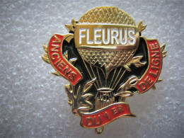 INSIGNE INFANTERIE 1° RI FLEURUS LES ANCIENS DU 1° DE LIGNE ETAT EXCELLENT IMC - Armée De Terre