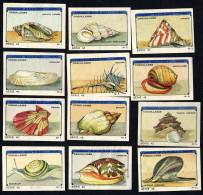 Meurisse - Ca 1930 - 42 - Coquillages, Shellfish - Serie (no 11 Damaged) - Altri & Non Classificati