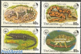 Gambia 1981 WWF, Reptiles 4v, Mint NH, Nature - Animals (others & Mixed) - Crocodiles - Reptiles - Snakes - World Wild.. - Gambie (...-1964)