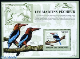 Comoros 2009 Fishing Birds S/s, Mint NH, Nature - Birds - Komoren (1975-...)