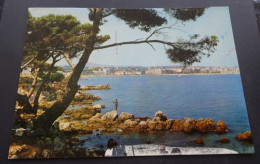 Antibes - Vue Générale - Editions Y.P.A., St. André De Nice - Autres & Non Classés