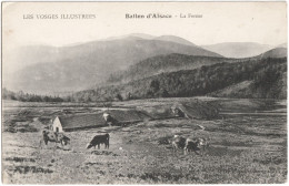 CPA "LES VOSGES ILLUSTRÉES"  (TERRITOIRE DE BELFORT)  BALLON D'ALSACE - LA FERME - Sonstige & Ohne Zuordnung