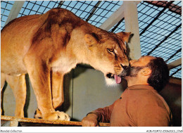 ACMP11-72-0952 - LA FLECHE - Parc Zoologique Du Terre Rouge - Directeur-propriétaire LIONNE LION - La Fleche