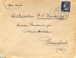 Netherlands 1949 NVPH No.338 On Cover, Enkelfrankering, Postal History - Covers & Documents
