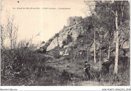 ACMP10-72-0836 - Forêt De SILLE-LE-GUILLAUME - Rochebrune - Sille Le Guillaume