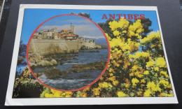 Antibes - Comptoir De La Carte Postale, Editions Mattesi, Nice - Autres & Non Classés