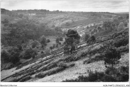 ACMP4-72-0307 - SAINT-LEONARD-DES-BOIS - Vue Sur La Bruyère  - Saint Leonard Des Bois