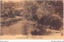 ACMP4-72-0282 - Les Alpes Mancelles - SAINT-LEONARD-DES-BOIS - Le Chapelet Au Guépelard - Saint Leonard Des Bois