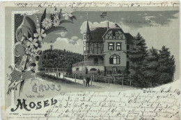 Waldfrieden Bei Alf - Gruss Von Der Mosel - Litho - Alf-Bullay