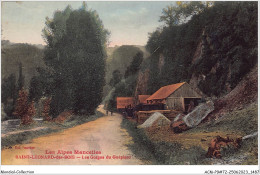 ACMP9-72-0810 - Les Alpes Mancelles - SAINT-LEONARD-DES-BOIS - Les Gorges Du Guéplard  - Saint Leonard Des Bois