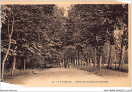 ACMP9-72-0728 - LA FLECHE - Parc Du Château Des Carmes - La Fleche