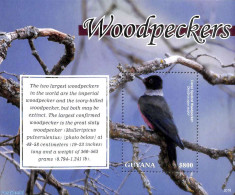 Guyana 2020 Woodpeckers S/s, Mint NH, Nature - Birds - Guyane (1966-...)