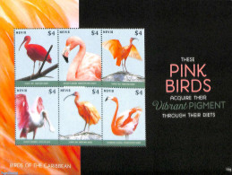 Nevis 2015 Pink Birds 6v M/s, Mint NH, Nature - Birds - St.Kitts-et-Nevis ( 1983-...)