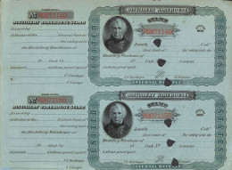 United States Of America 1878 Distillery Warehouse Revenue Stamps (sheet With 2), Unused (hinged) - Briefe U. Dokumente