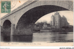 ADCP9-72-0896 - SOLESMES - L'abbaye Vue Sous Le Pont  - Solesmes