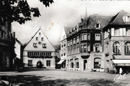 68  Haut-Rhin - MUNSTER - Hôtel De Ville - Format 9,4 X 14,2 - Editions Estel - Munster