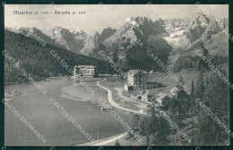 Belluno Auronzo Di Cadore Misurina Sorapis Brunner 10 10 Cartolina MX4362 - Belluno