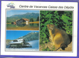 Carte Postale 05. Saint-Léger-les-Mélèzes  Centre De Vacances De La Caisse Des Dépôts  Marmotte    Très Beau Plan - Autres & Non Classés