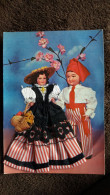 CPSM BRODEE FOKLORE FOLKLORIQUE COUPLE PAYS NICOIS COSTUME ED GILLETTA 2 - Embroidered