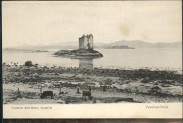 41037601 Argyll Bute UA Islands Castle Stalker Argyll & Bute UA Islands - Autres & Non Classés