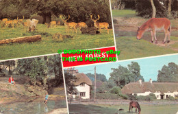 R492700 New Forest. Dennis. 1990. Multi View - World