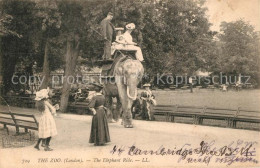 33557766 London Zoo The Elephant Ride - Autres & Non Classés