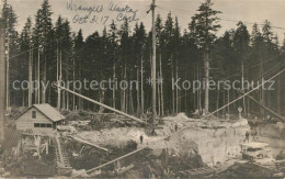 33549646 Wrangell_Alaska  - Other & Unclassified