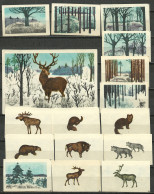 RUSSIA 1973 Matchbox Labels - Winter Forest - Animals (catalog # 246 ) - Zündholzschachteletiketten