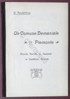G. Pochettino - Un Comune Demaniale In Piemonte - Castellazzo Bormida - 1905 - Autres & Non Classés