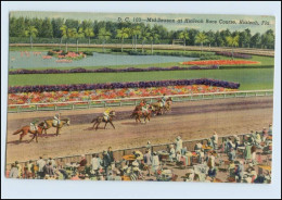 W8B14/ Hialeah Race Course, Fla. USA  Pferderennen 1948 AK - Sonstige & Ohne Zuordnung