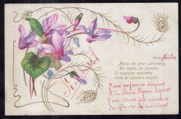 Postcard - Circa 1908 - Flowers - Drawing - Pink Flowers - Fleurs