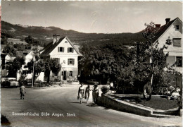 Anger/Steiermark - Sommerfrische Anger - Anger