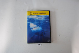 DVD 1 - GRAND REQUIN BLANC SOUS SURVEILLANCE - Documentales