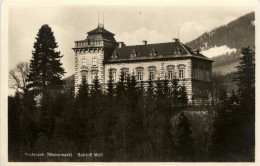 Trofaiach/Steiermark - Schloss Möll - Trofaiach