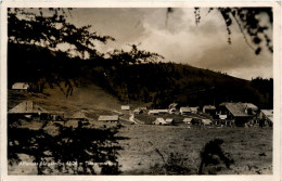 Aflenz/Steiermark -Bürgeralpe - Alfenz