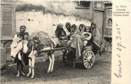 Caire - Charette Transportant Des Femmes Arabes - Cairo