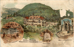 Hotel Waldhaus Bei Edenkoben - Litho - Edenkoben