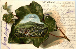 Wildbad - Litho - Calw