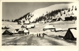 Aflenz/Steiermark - Aflenz Bürgeralpe - Alfenz