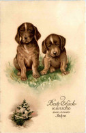 Neujahr - Dogs - New Year