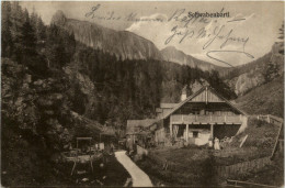 Aflenz/Steiermark - Schwabenbartl - Alfenz