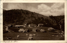 Aflenz/Steiermark - Bürgeralpe - Alfenz