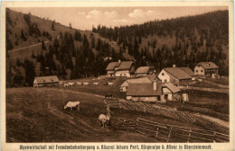 Aflenz/Steiermark - Alpenwirtschaft U. Käserei Johann Pertl, Bürgeralpe B.Aflenz - Alfenz