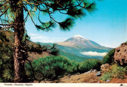 73897886 Tenerife Islas Canarias Spanien ES Pico Del Teide Desde El Monte De La  - Other & Unclassified