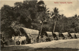 Ceylon - Native Transport - Sri Lanka (Ceilán)