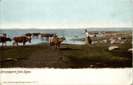 Strandparti Fran Siljan - Norvège